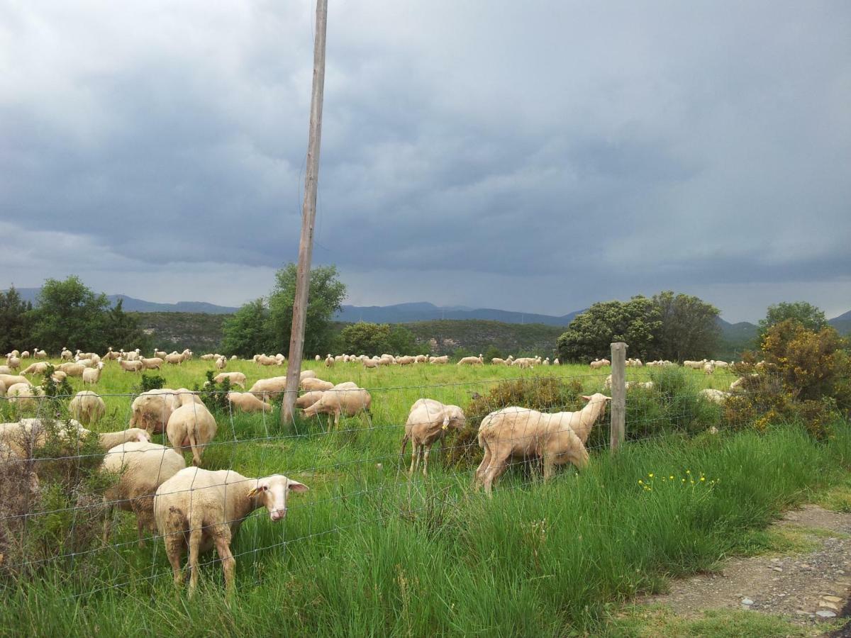 Casa Encuentra, En El Pirineo Al Lado De Ainsa ξενώνας El Pueyo de Araguás Εξωτερικό φωτογραφία