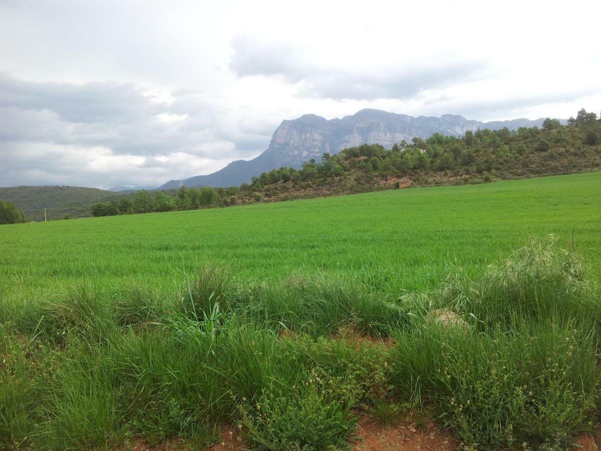 Casa Encuentra, En El Pirineo Al Lado De Ainsa ξενώνας El Pueyo de Araguás Εξωτερικό φωτογραφία